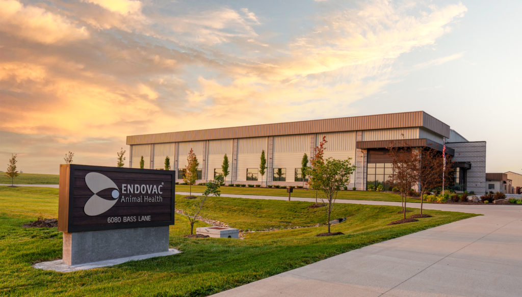 vaccins pour le bétail et les animaux domestiques